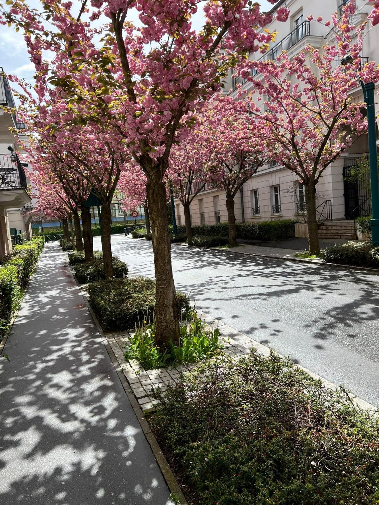 Apartment Sweet Disneyland Paris Parking 300m Station Val D'europe